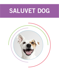 planes_salud_saluvet_dog