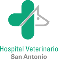 (c) Hospitalveterinariosanantonio.com